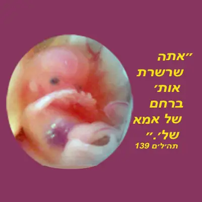 סרגת אותי יחד ברחם אמי.