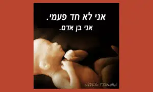 פרשת שלח
