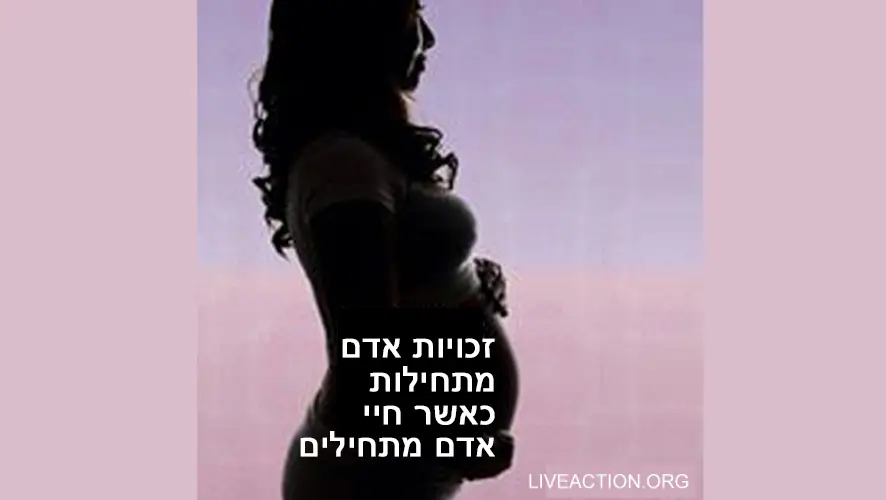 פרשת שופטים