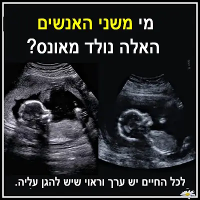 אונס גילוי עריות הפלה