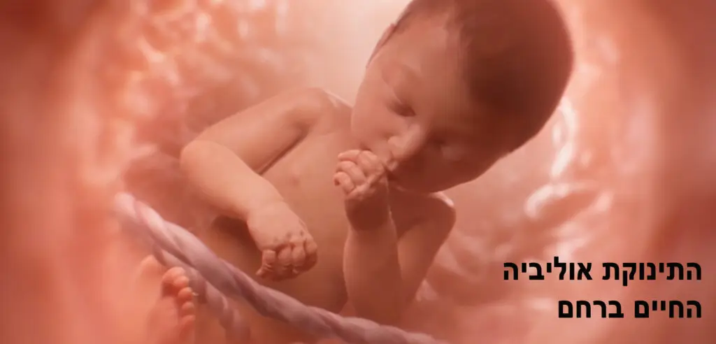 התינוקת אוליביה החיים ברחם