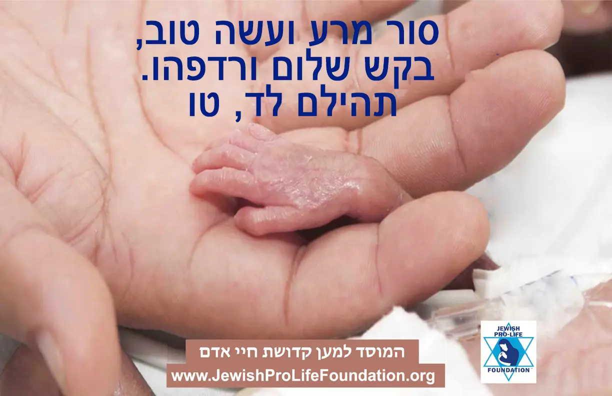 פרשת וילך תשובה