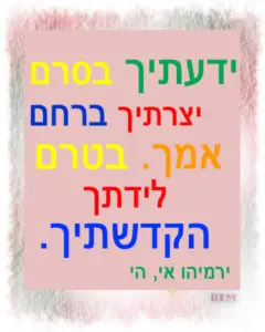 Noah's Parsha: Choosing Life