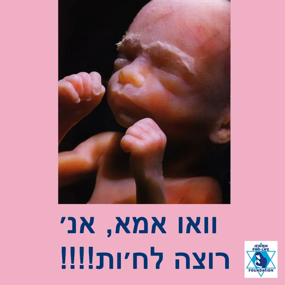 שאלות ותשובות