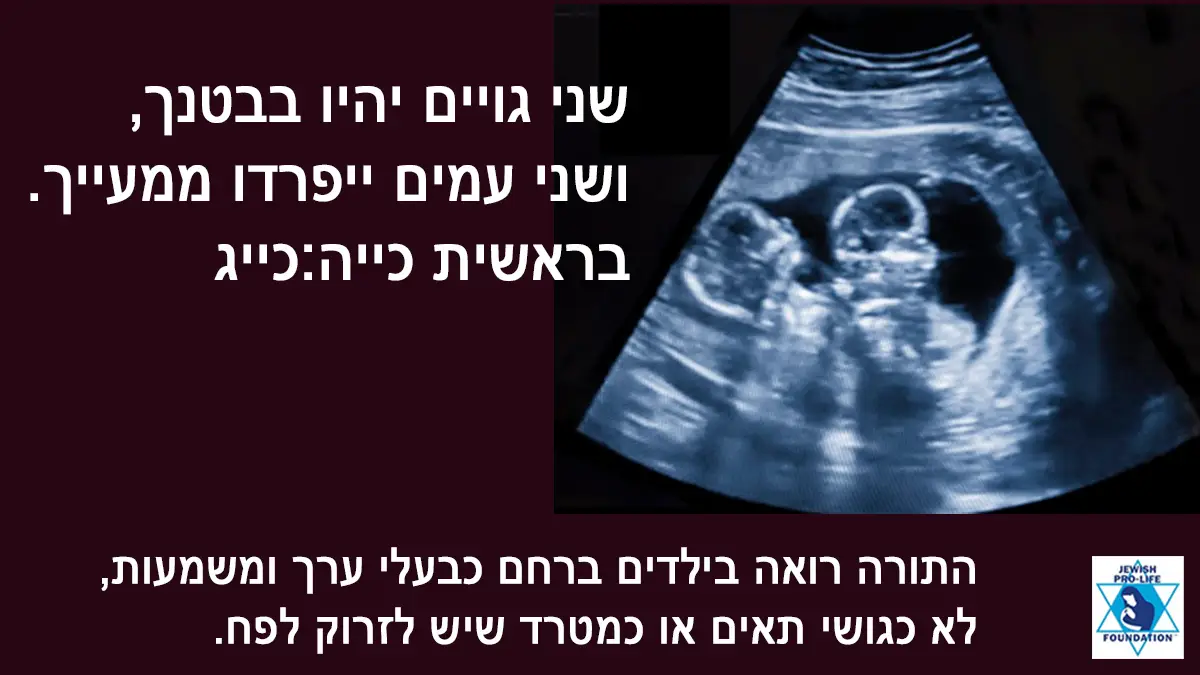 פרשת תולדות