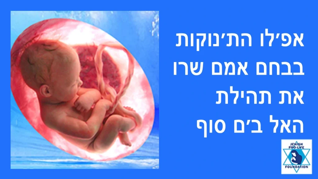 פרשת בשלח