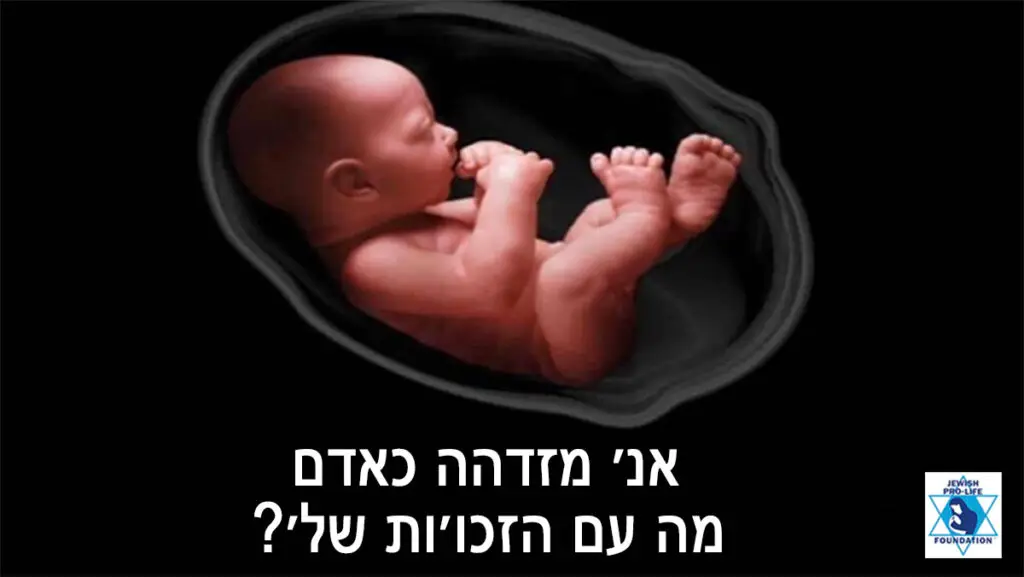 פרשת צו