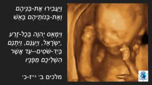  הפלה בישראל