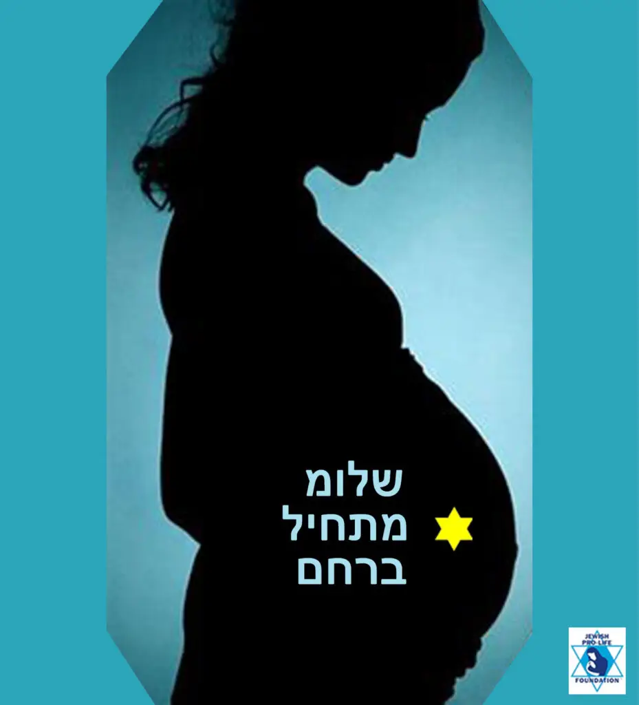 שלום מתחיל ברחם