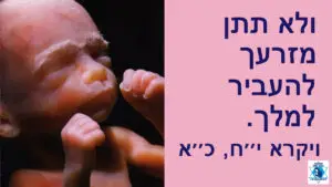 שמיני עצרת ושמחת תורה