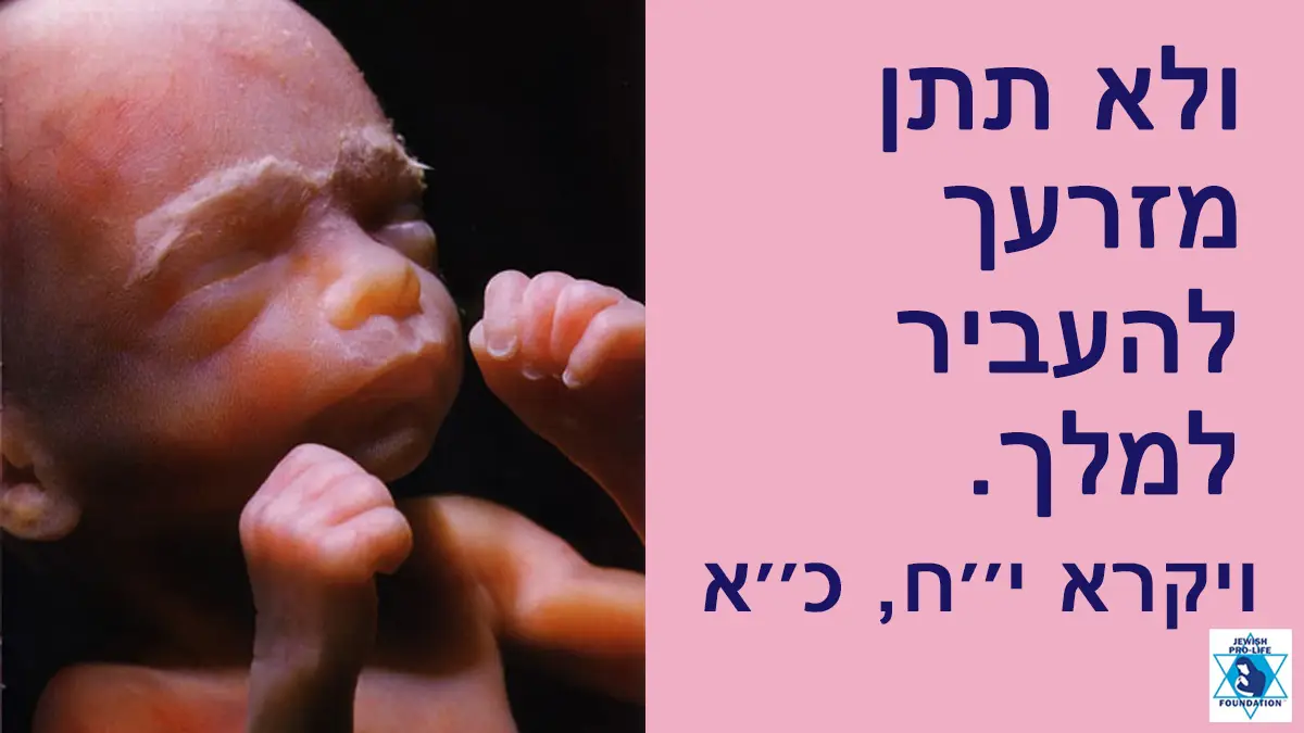 שמיני עצרת ושמחת תורה